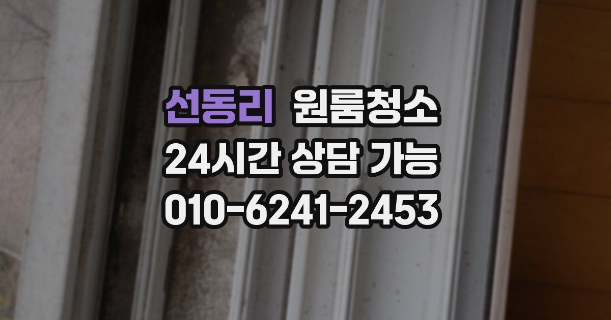 선동리 입주청소