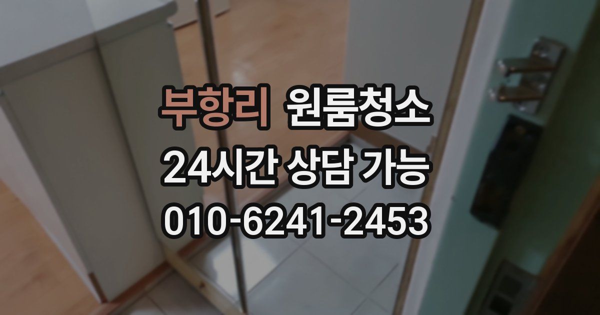 부항리 입주청소