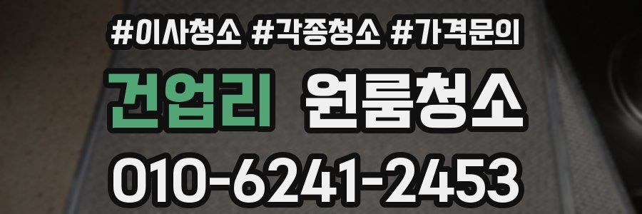 건업리 이사청소