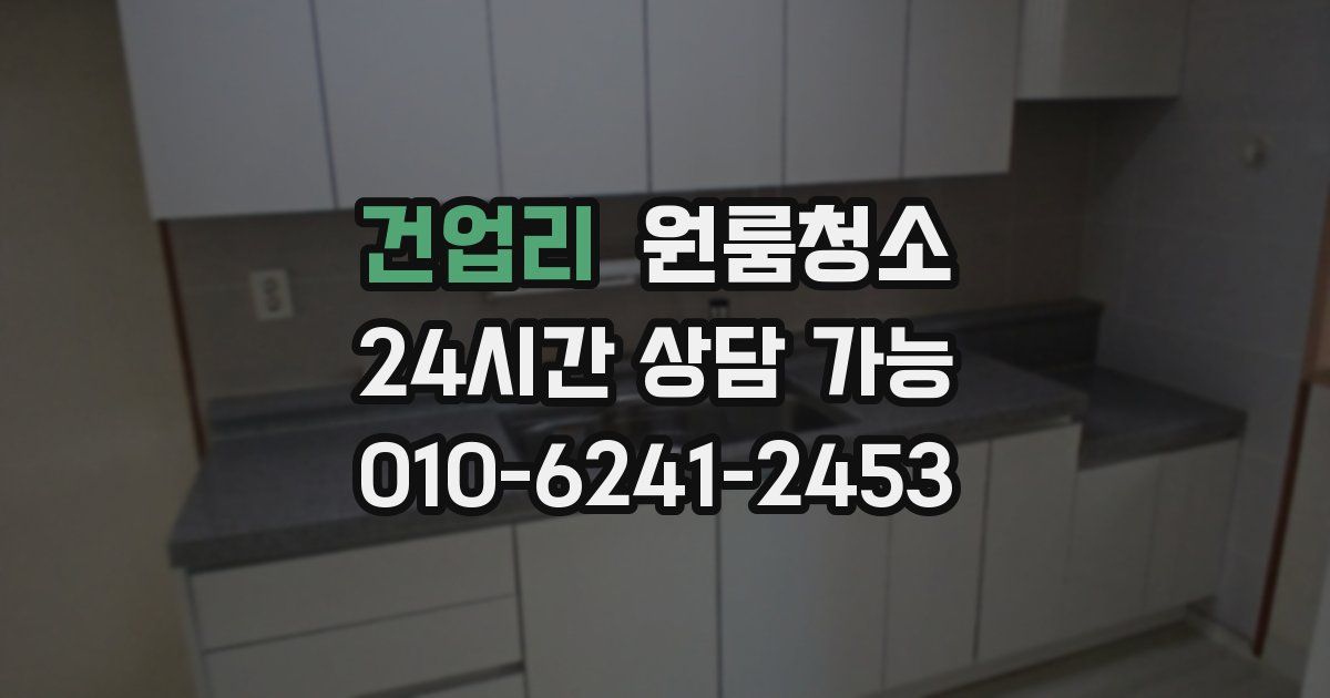 건업리 입주청소