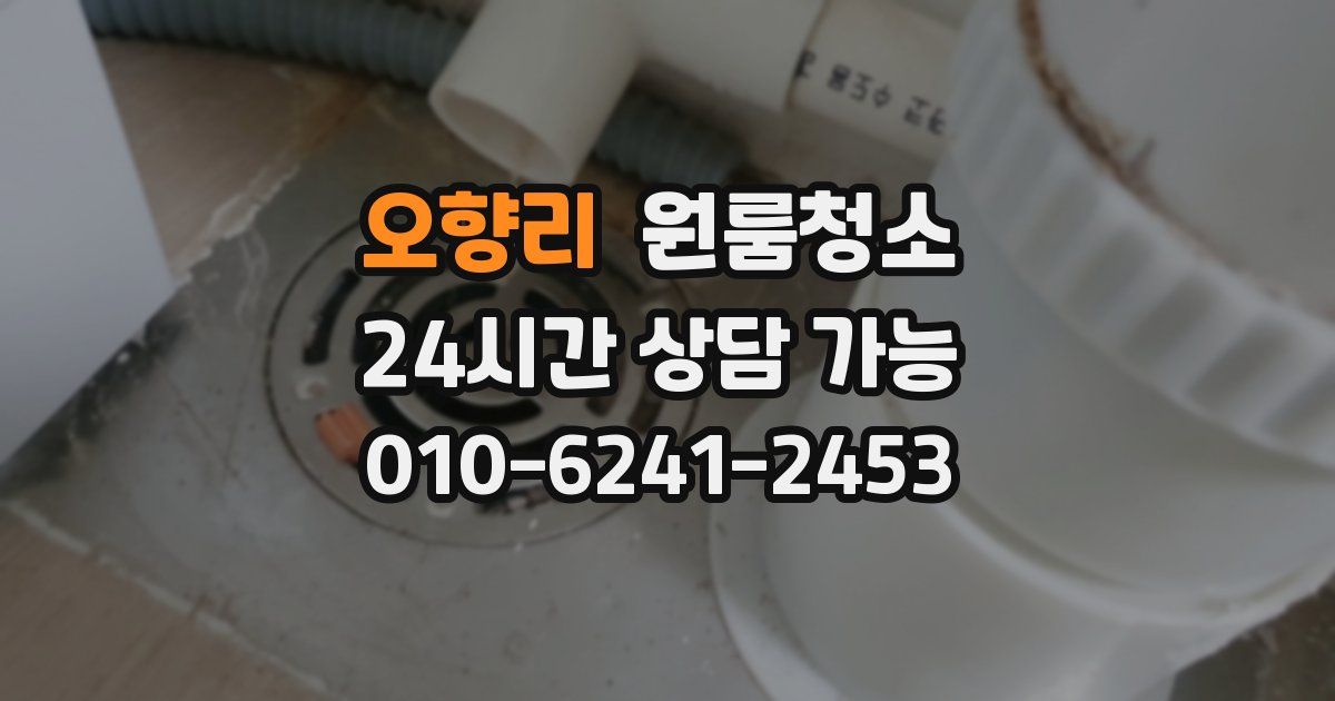 오향리 입주청소