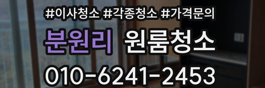 분원리 이사청소