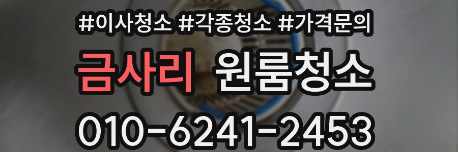 금사리 이사청소