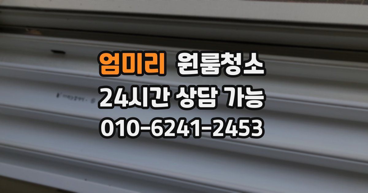 엄미리 입주청소