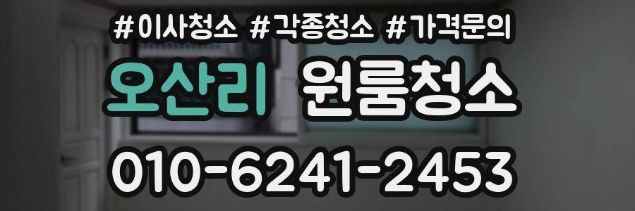 오산리 이사청소