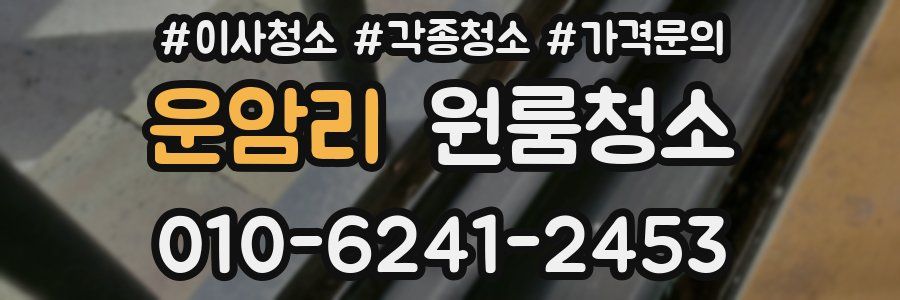 운암리 이사청소