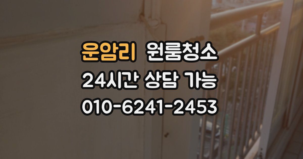 운암리 입주청소