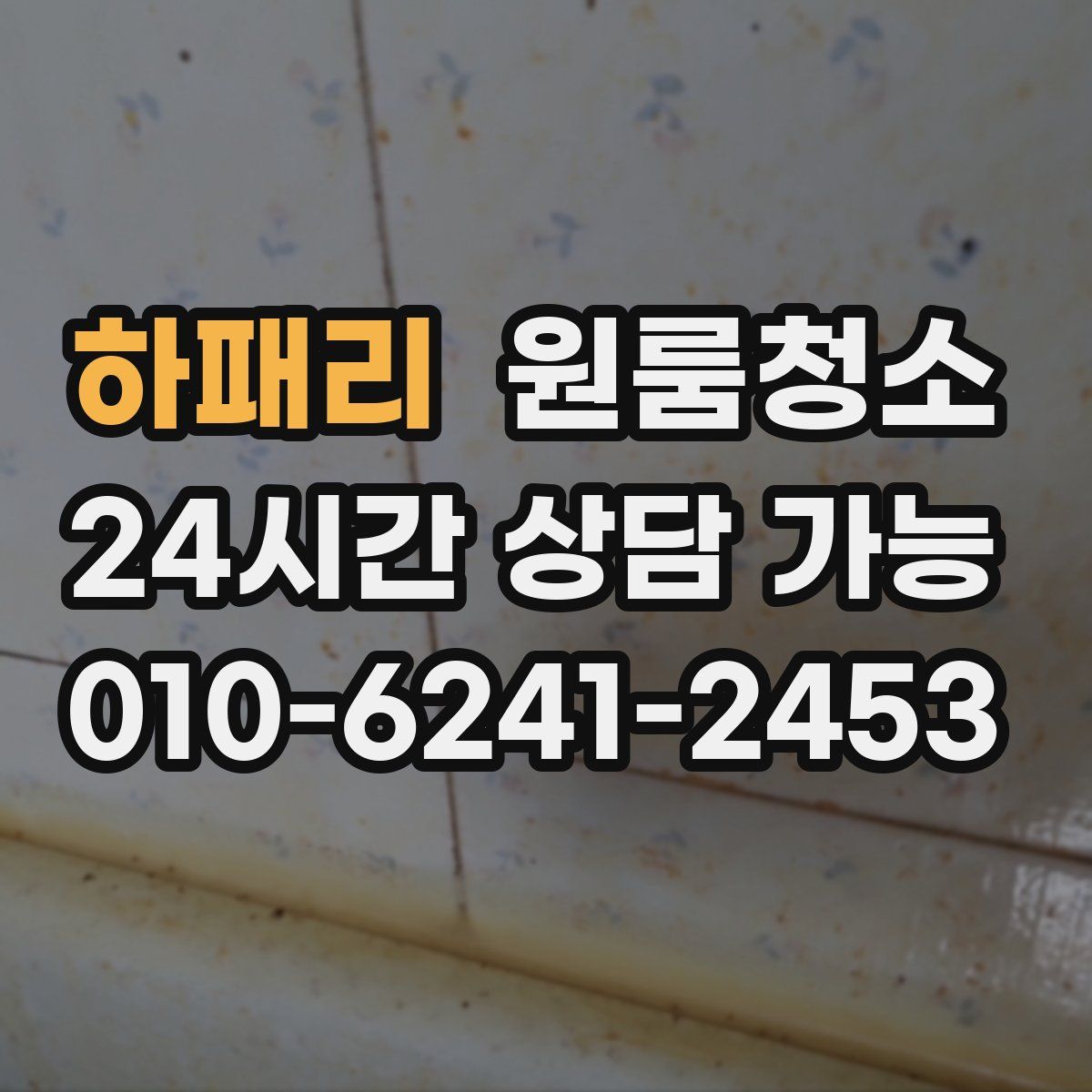 하패리 원룸청소