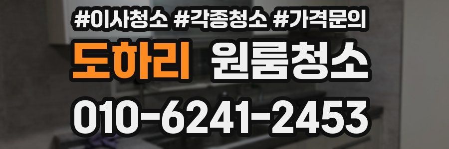 도하리 이사청소