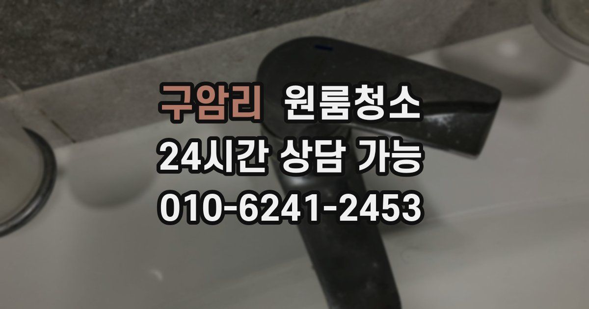 구암리 입주청소