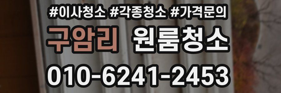 구암리 이사청소