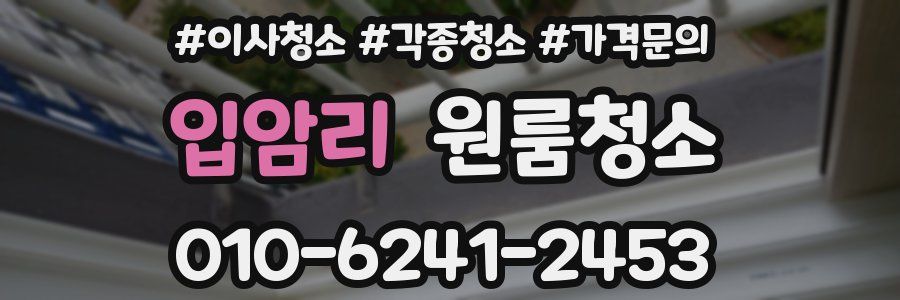 입암리 이사청소