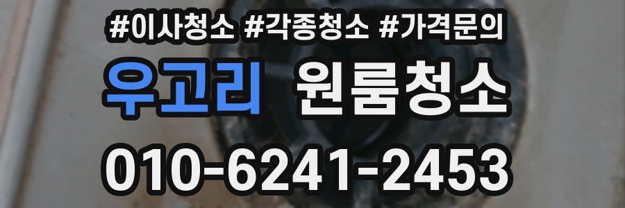 우고리 이사청소