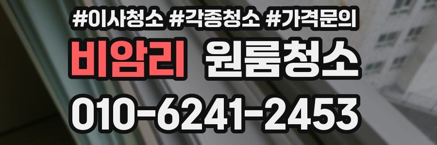 비암리 이사청소