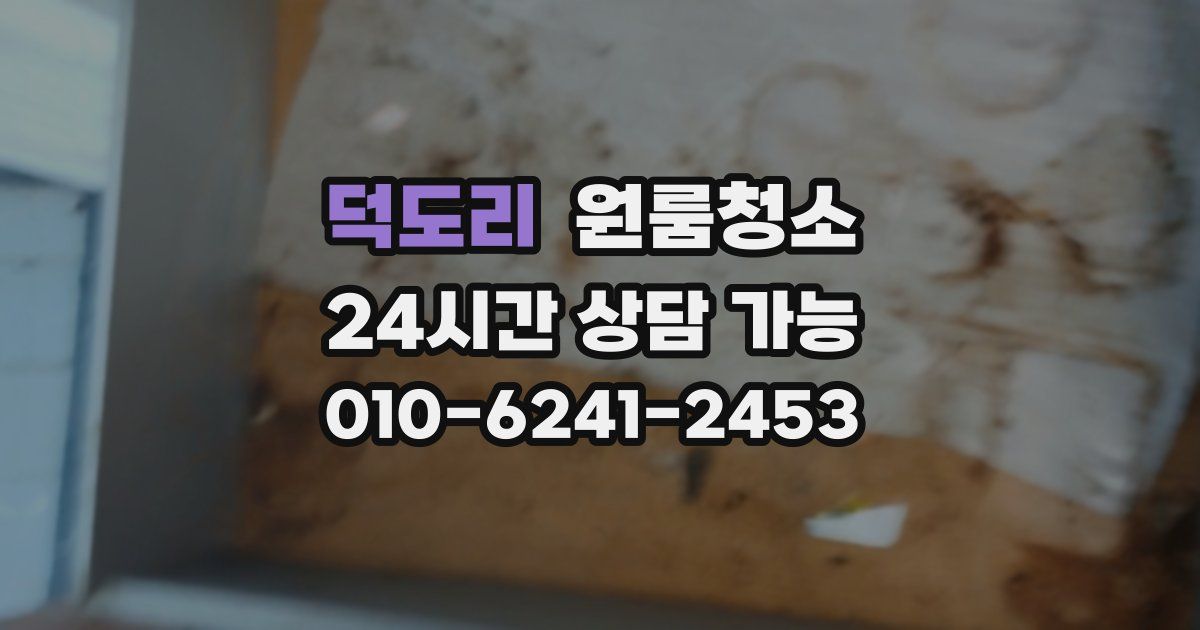덕도리 입주청소