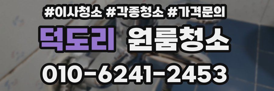 덕도리 이사청소