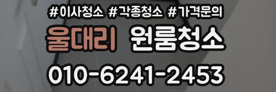 울대리 이사청소