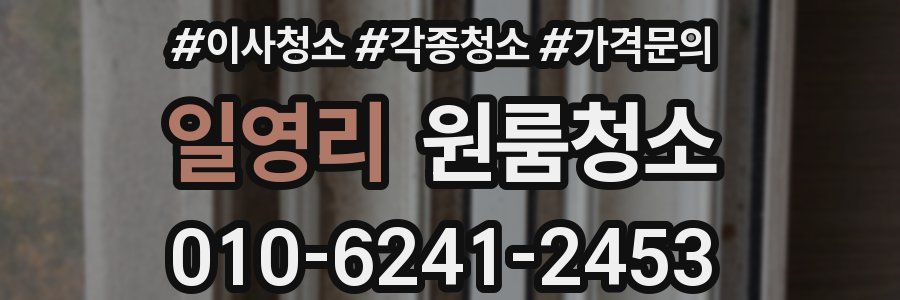 일영리 이사청소