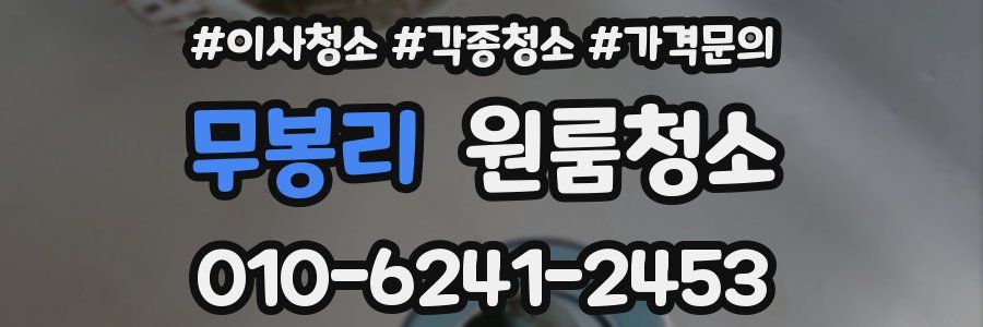 무봉리 이사청소