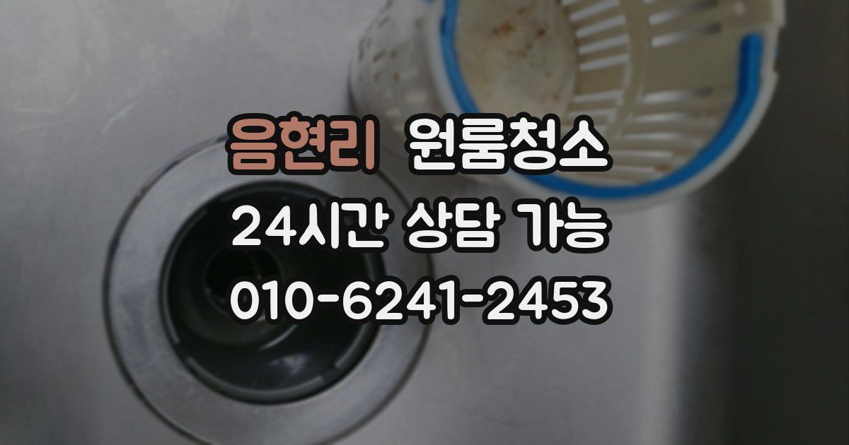 음현리 입주청소