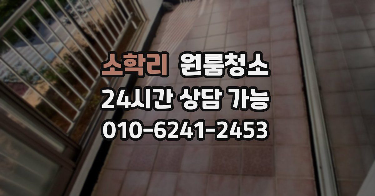 소학리 입주청소