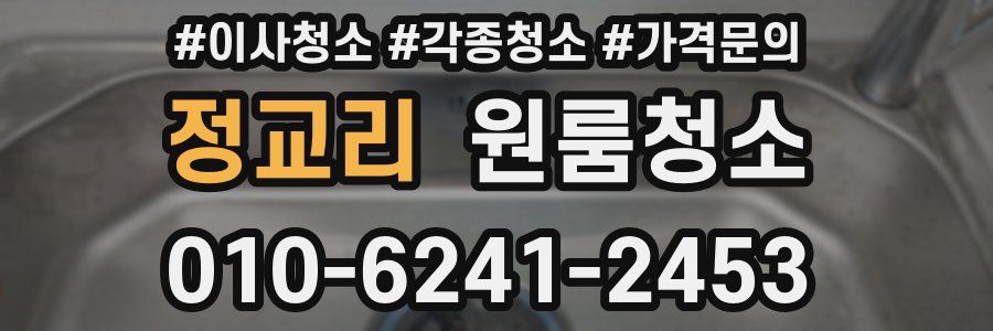 정교리 이사청소