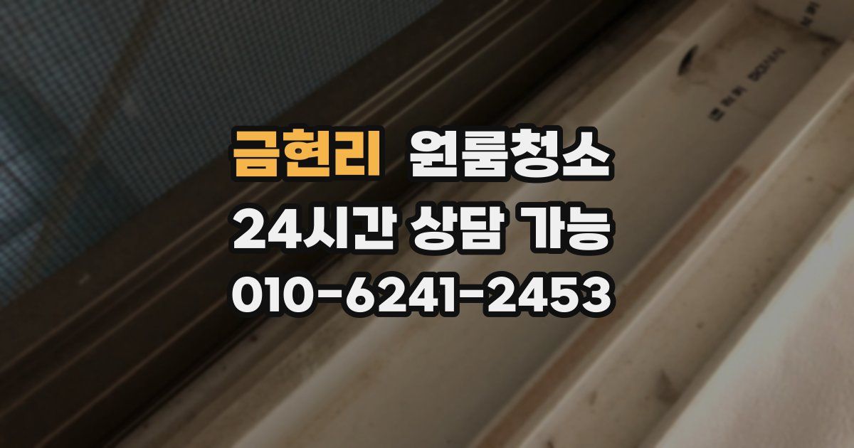 금현리 입주청소