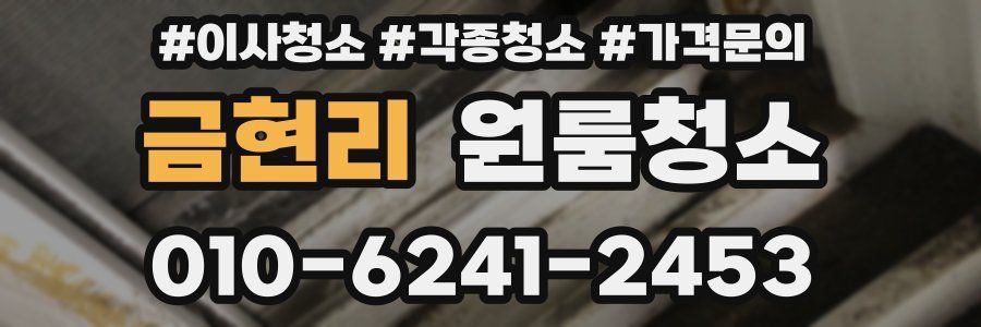 금현리 이사청소