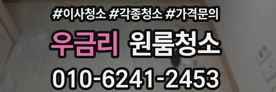 우금리 이사청소