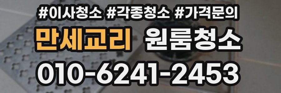 만세교리 이사청소