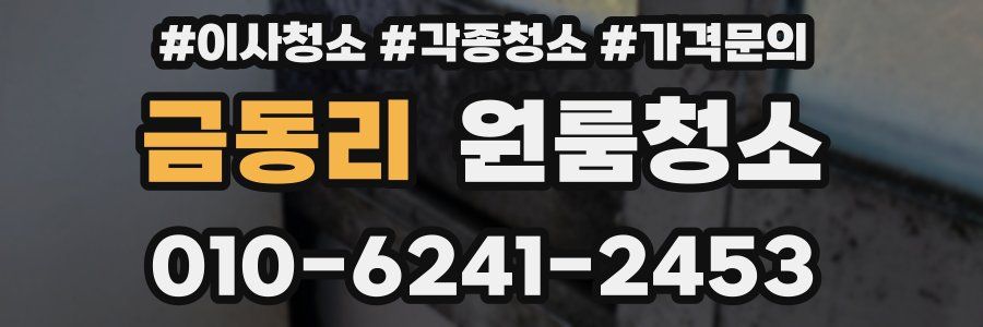 금동리 이사청소