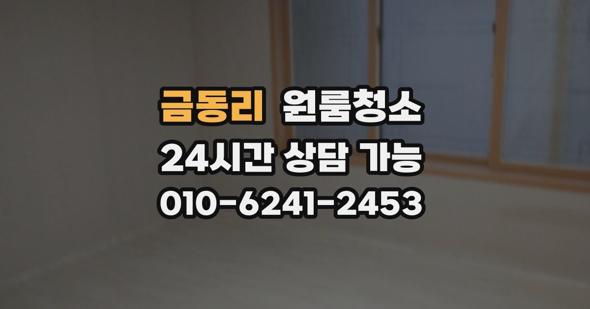 금동리 입주청소