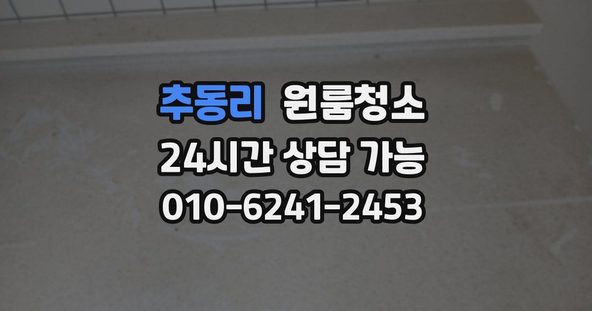 추동리 입주청소