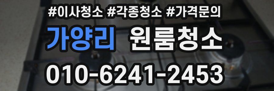 가양리 이사청소