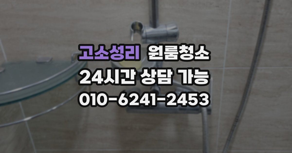 고소성리 입주청소