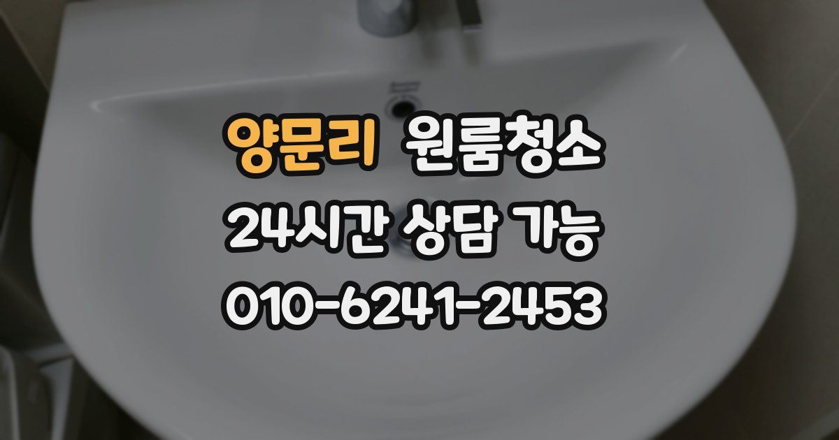 양문리 입주청소