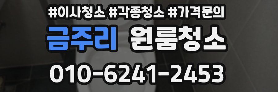 금주리 이사청소