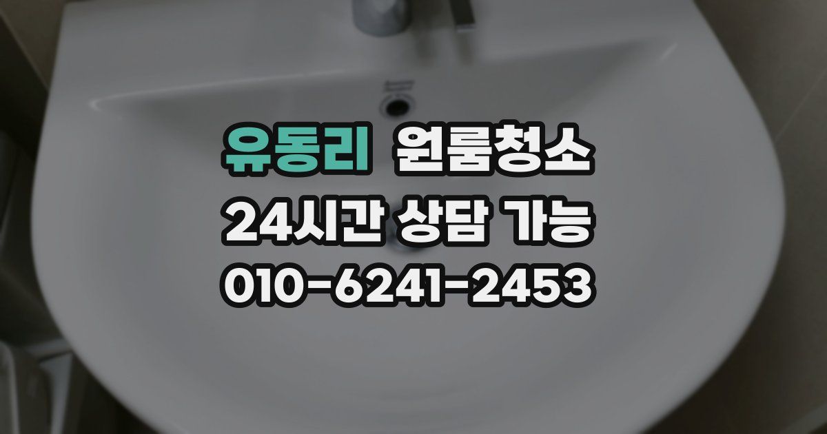 유동리 입주청소