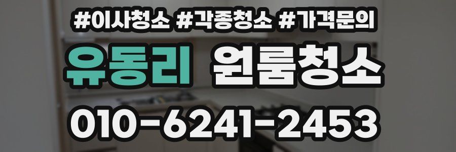 유동리 이사청소