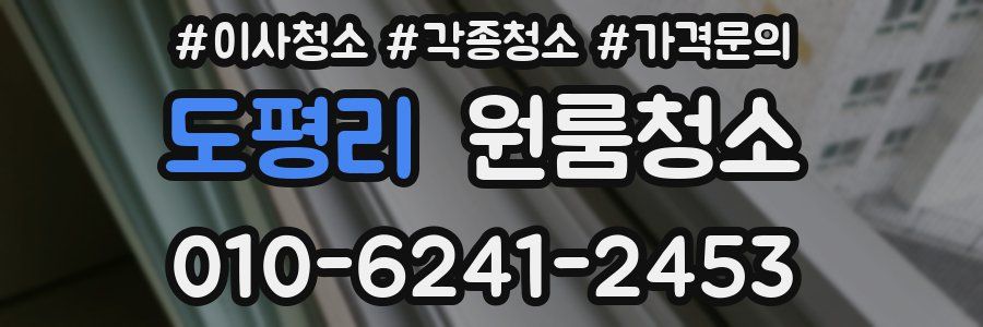 도평리 이사청소