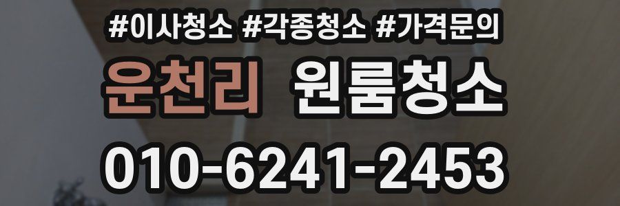 운천리 이사청소