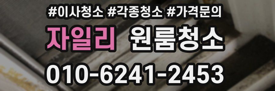 자일리 이사청소