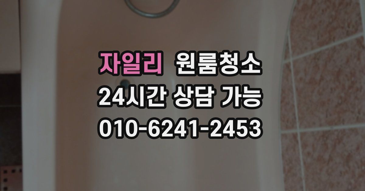 자일리 입주청소