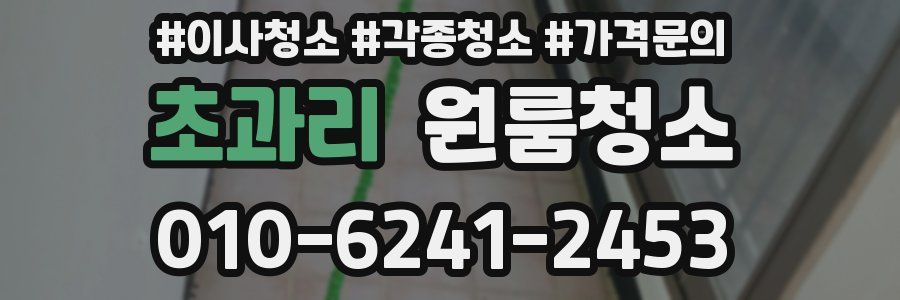 초과리 이사청소