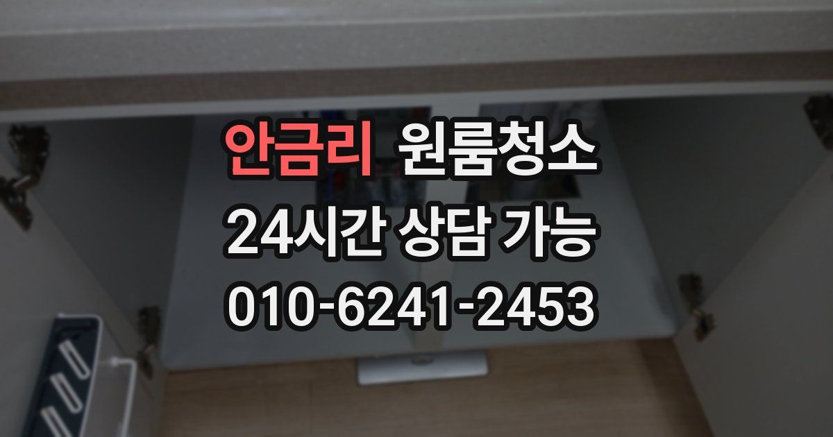 안금리 입주청소