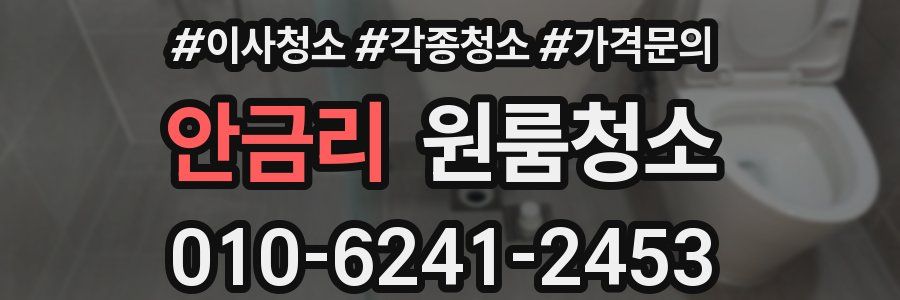 안금리 이사청소