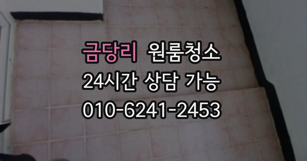 금당리 입주청소