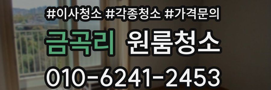 금곡리 이사청소