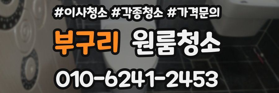 부구리 이사청소