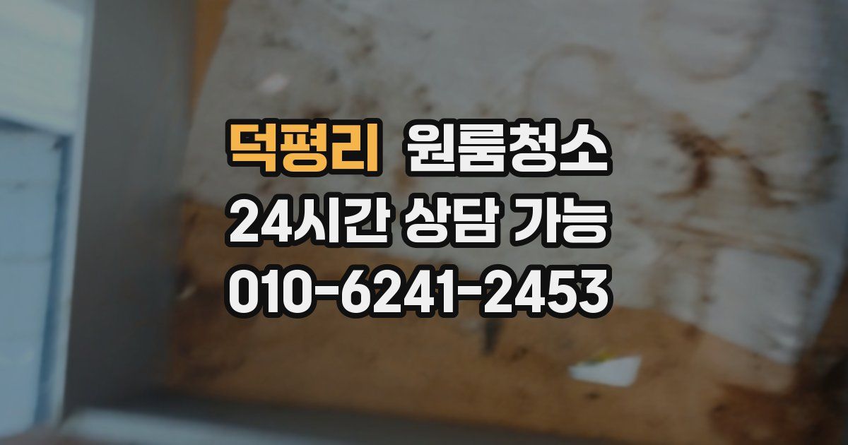 덕평리 입주청소